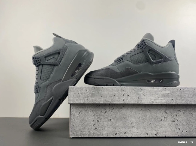 Chep Onekick Jordan 4 Olympics SE Air Paris 0704